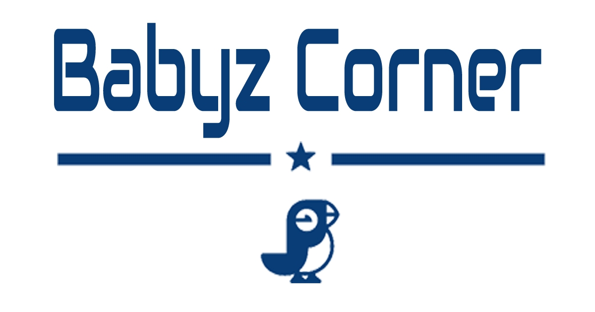 April 2025 Final Logo for Rank Math - Teamz 360 - Teamz 360 Logo reading 'Babyz Corner' with a blue star between two horizontal lines and a small blue bird illustration beneath the lines.